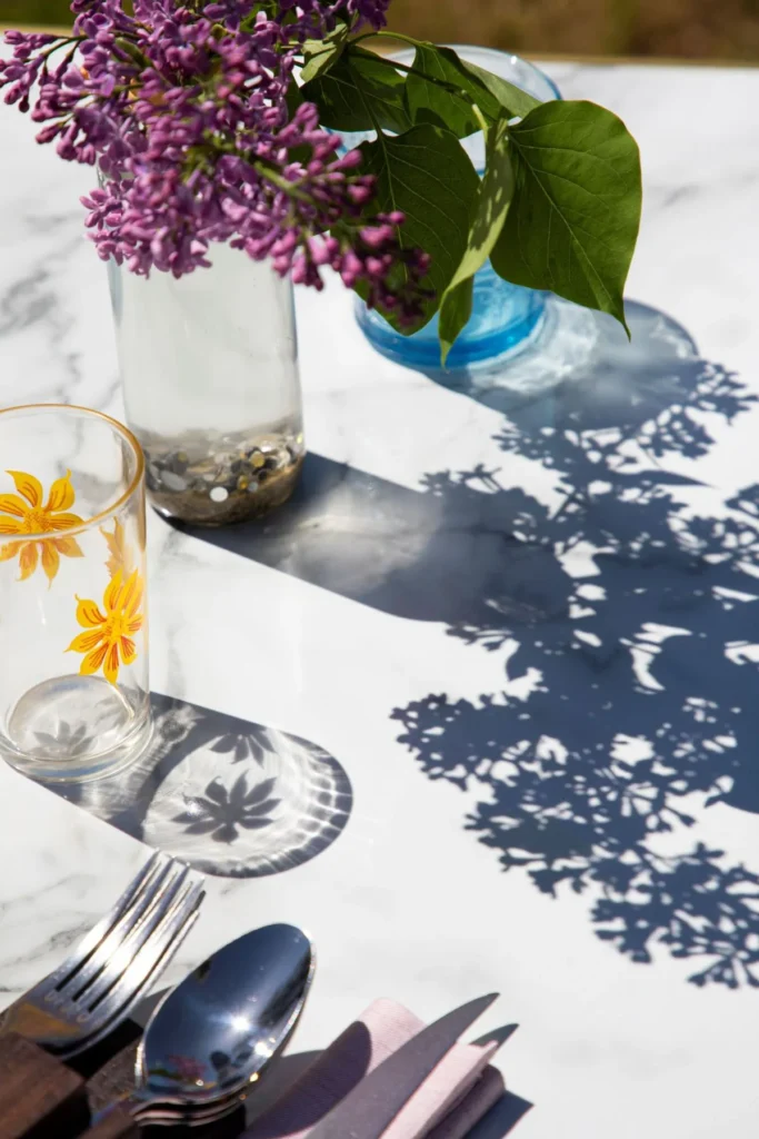 The menu 12 table au soleil avec couvert du restaurant le moulin de la santoire