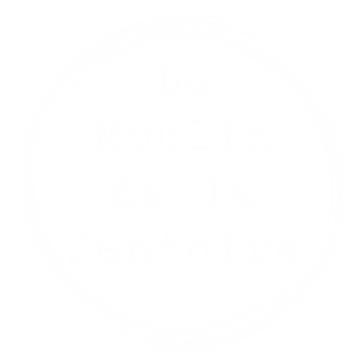 logo du site copie